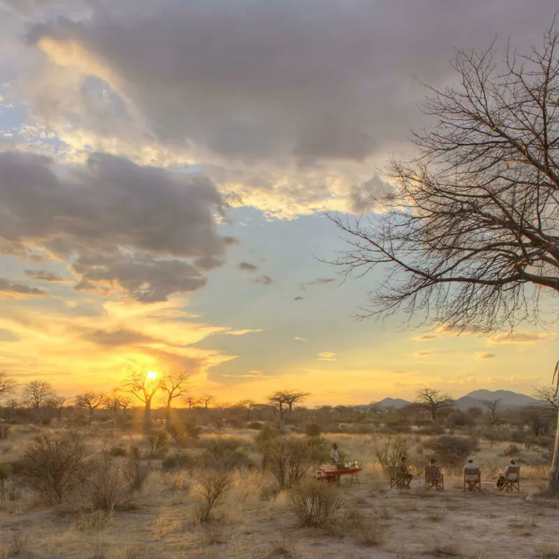 Jabali Private House, Ruaha National Park, Guests watching the sunset, drinks being served under a bare tree, clouds in theh sky