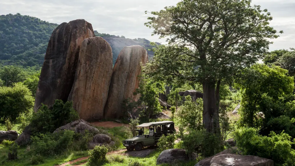 Jabali Private House, Ruaha National Park, Activity, guests on game drive through lush vegetation passing rocks and kopjes