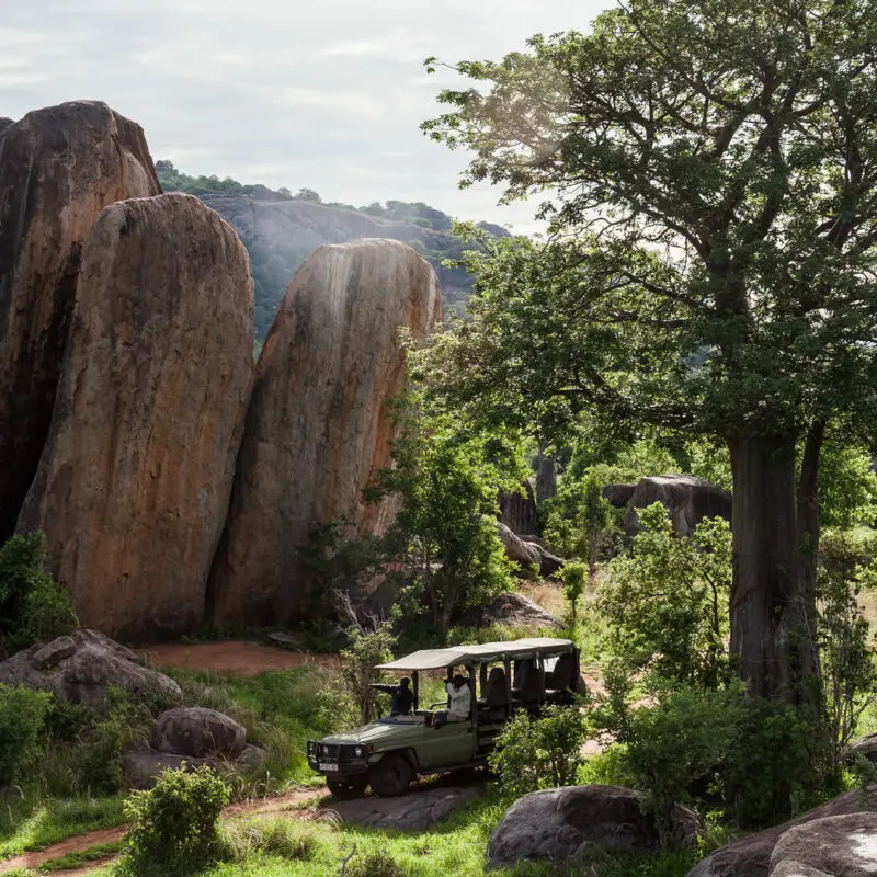 Jabali Private House, Ruaha National Park, Activity, guests on game drive through lush vegetation passing rocks and kopjes