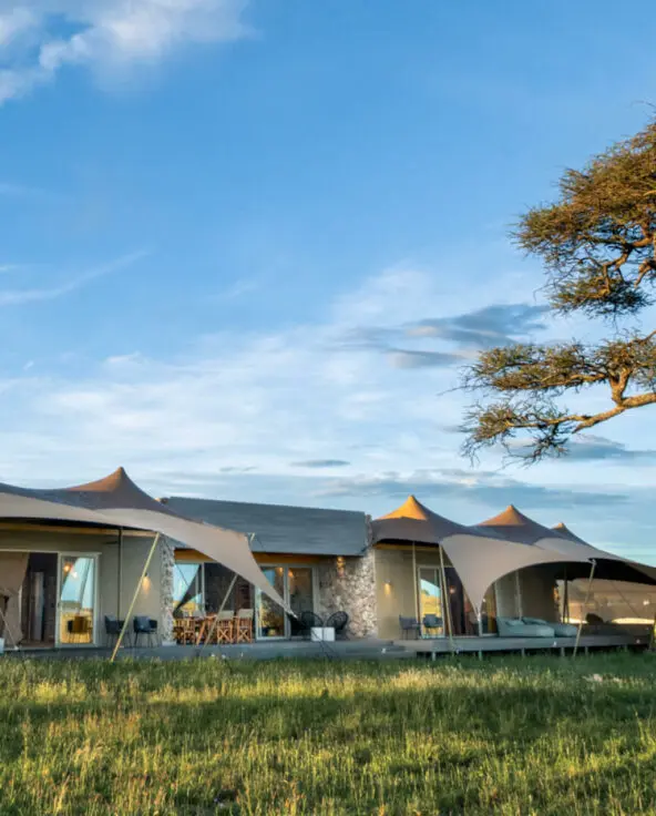Namiri Plains Retreat, Serengeti National Park, room exterior view from outside, tree nearby