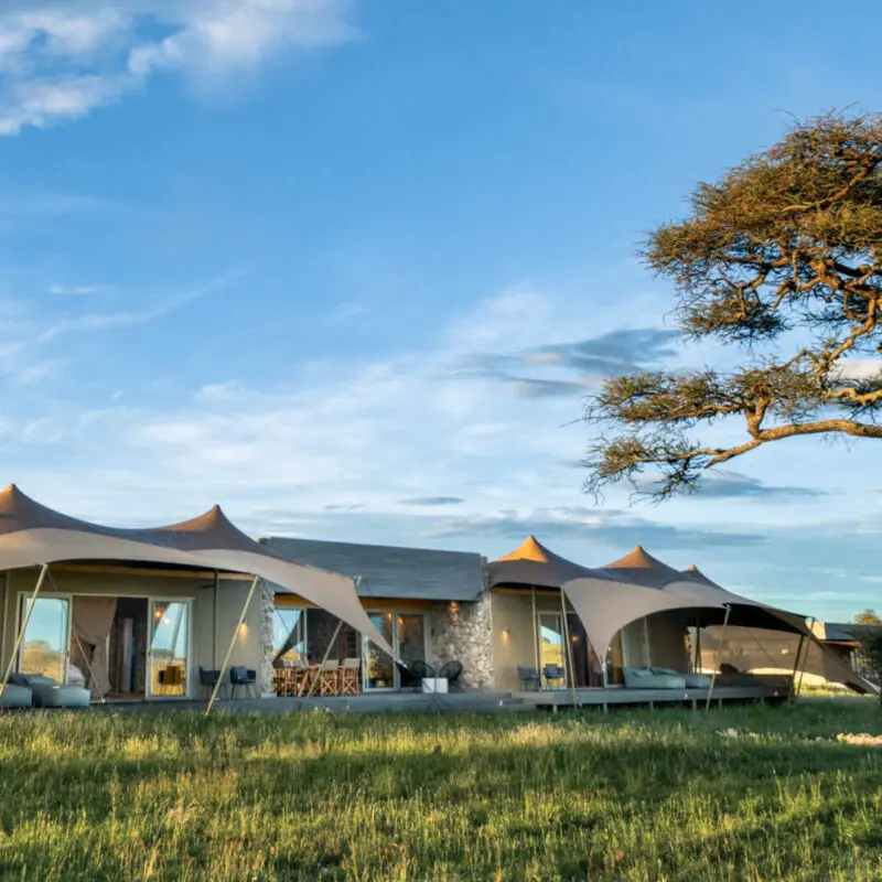 Namiri Plains Retreat, Serengeti National Park, room exterior view from outside, tree nearby