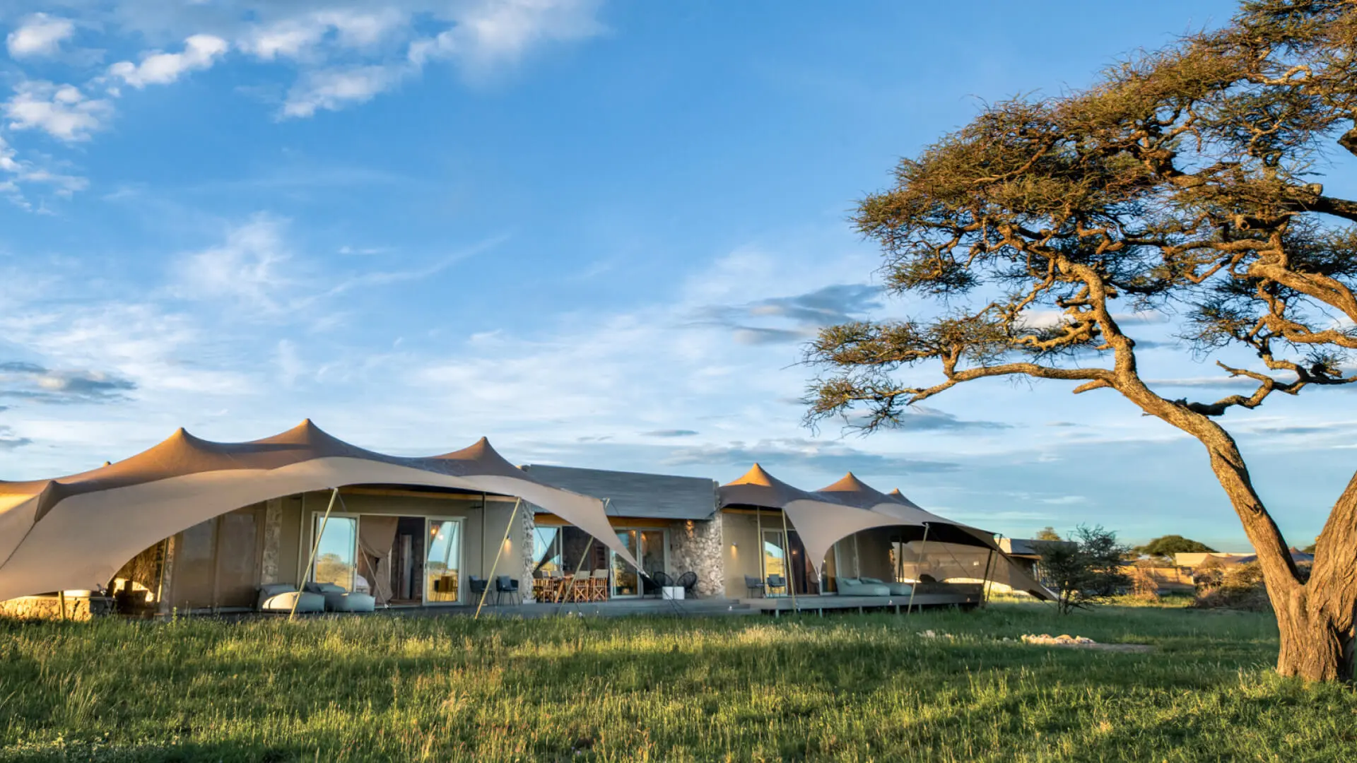 Namiri Plains Retreat, Serengeti National Park, room exterior view from outside, tree nearby