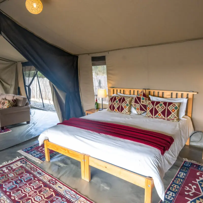 Inside view of guest tent bedroom, ol pejeta bush camp, ol pejeta conservancy, kenya