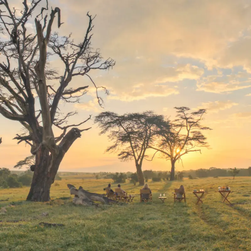 Guests enjoying sundowners in the bush, Ol Pejeta Bush Camp, ol pejeta conservancy, kenya