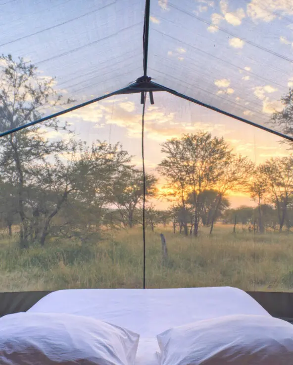 Asilia Olakira Migration Camp, inside view, stargazing tent, Serengeti National Park, Tanzania
