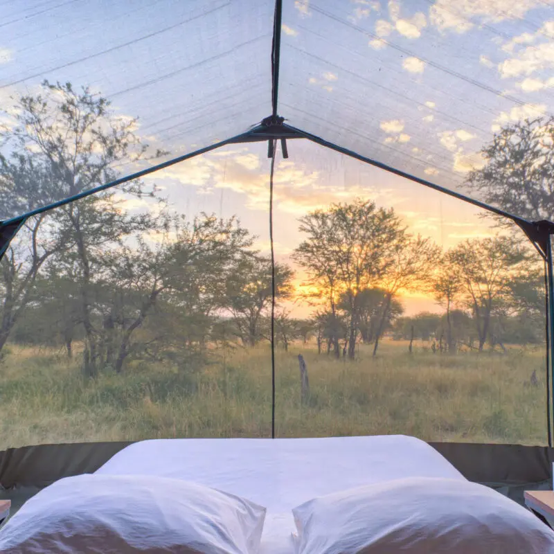 Asilia Olakira Migration Camp, inside view, stargazing tent, Serengeti National Park, Tanzania