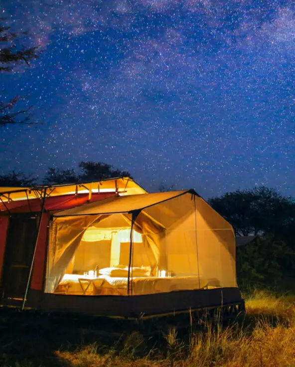 Stargazing guest tent at night, olakira migration camp, Serengeti National Park, Tanzania