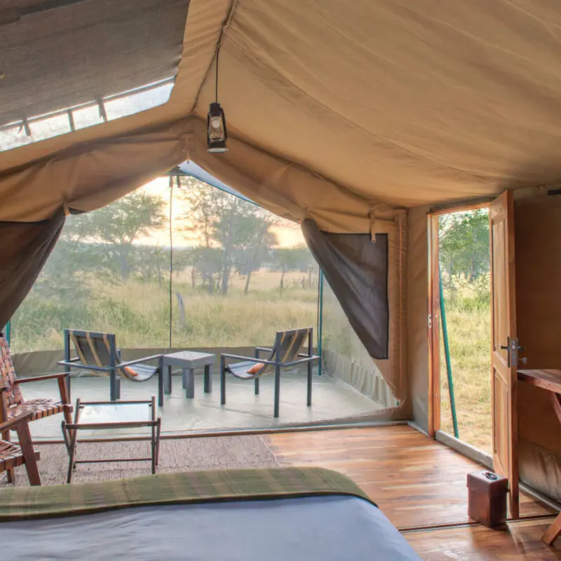 Asilia Olakira Migration Camp, inside view of guest tent and stargazing, Serengeti National Park, Tanzania