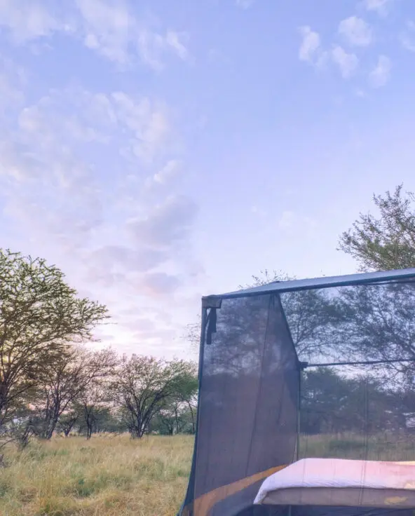 Asilia Olakira Migration Camp, side view of stargazing guest tent, Serengeti National Park, Tanzania