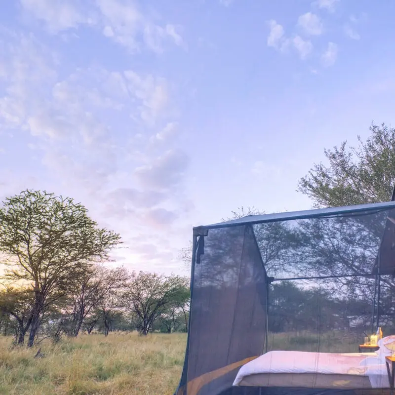 Asilia Olakira Migration Camp, side view of stargazing guest tent, Serengeti National Park, Tanzania