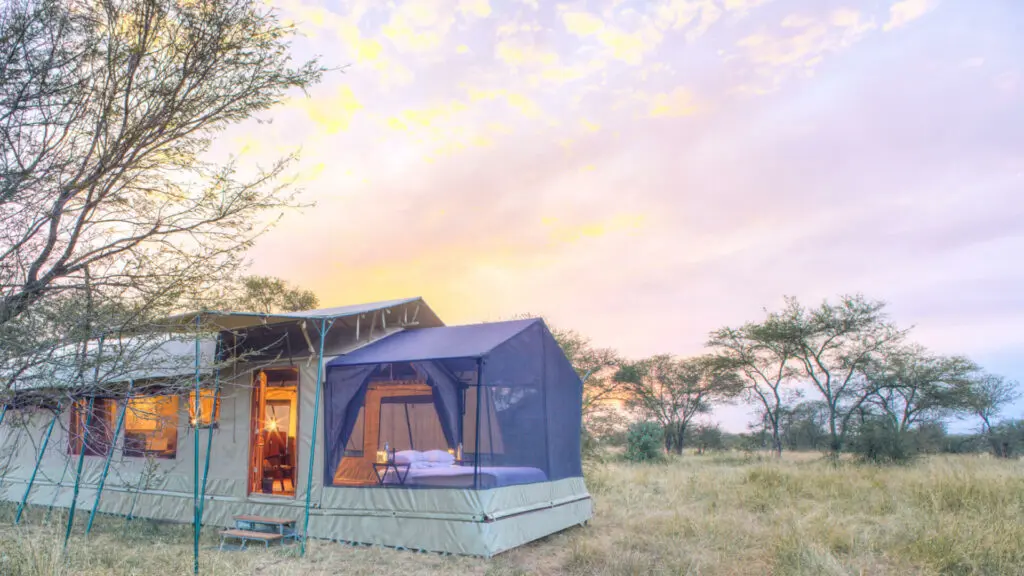 Outside view of guest stargazing tent, olakira migration camp, Serengeti National Park, Tanzania