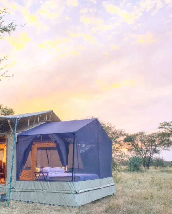 Outside view of guest stargazing tent, olakira migration camp, Serengeti National Park, Tanzania