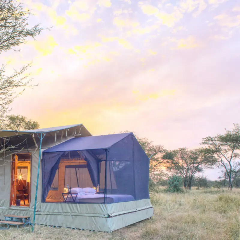 Outside view of guest stargazing tent, olakira migration camp, Serengeti National Park, Tanzania