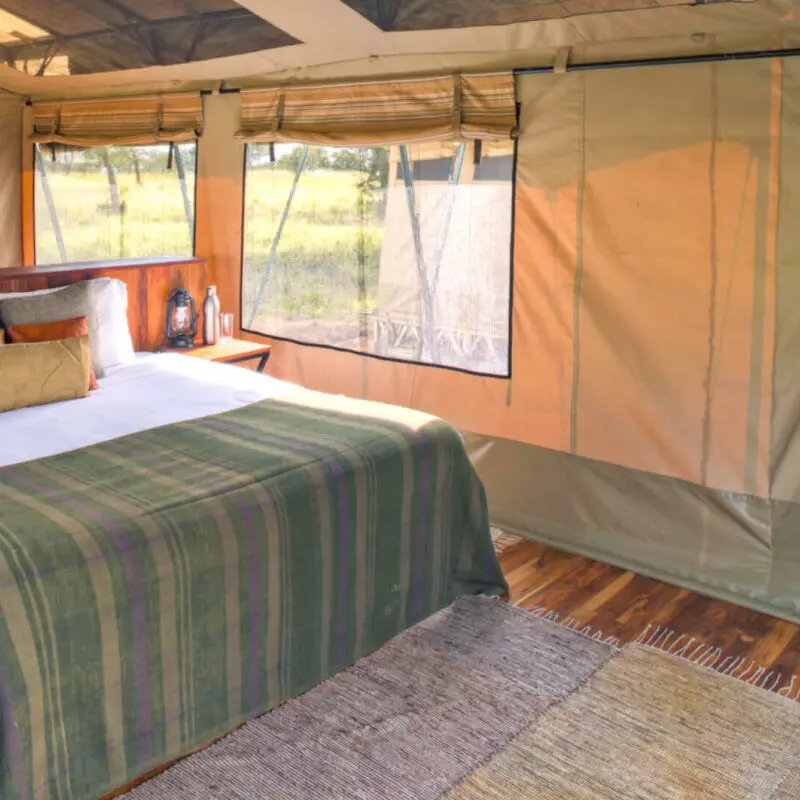 Inside view of bed in guest tent, olakira migration camp, Serengeti National Park, Tanzania
