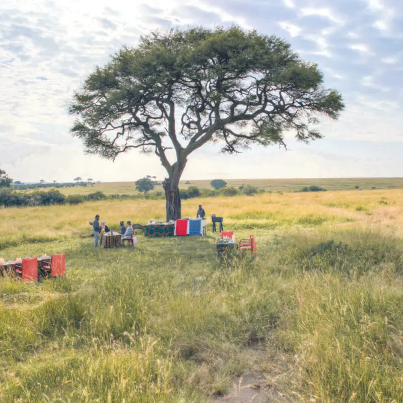 guests enjoying a bush breakfast, olakira migration camp, Serengeti National Park, Tanzania