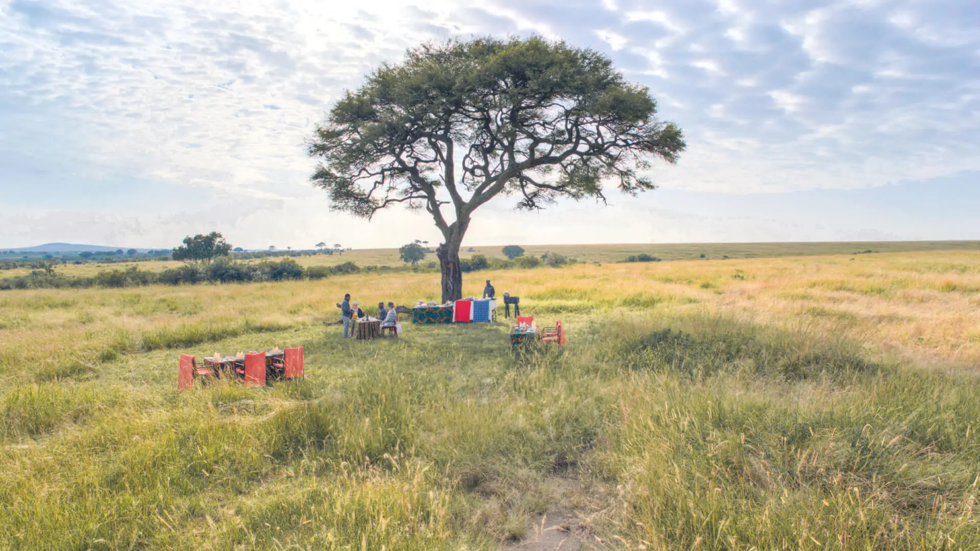 guests enjoying a bush breakfast, olakira migration camp, Serengeti National Park, Tanzania