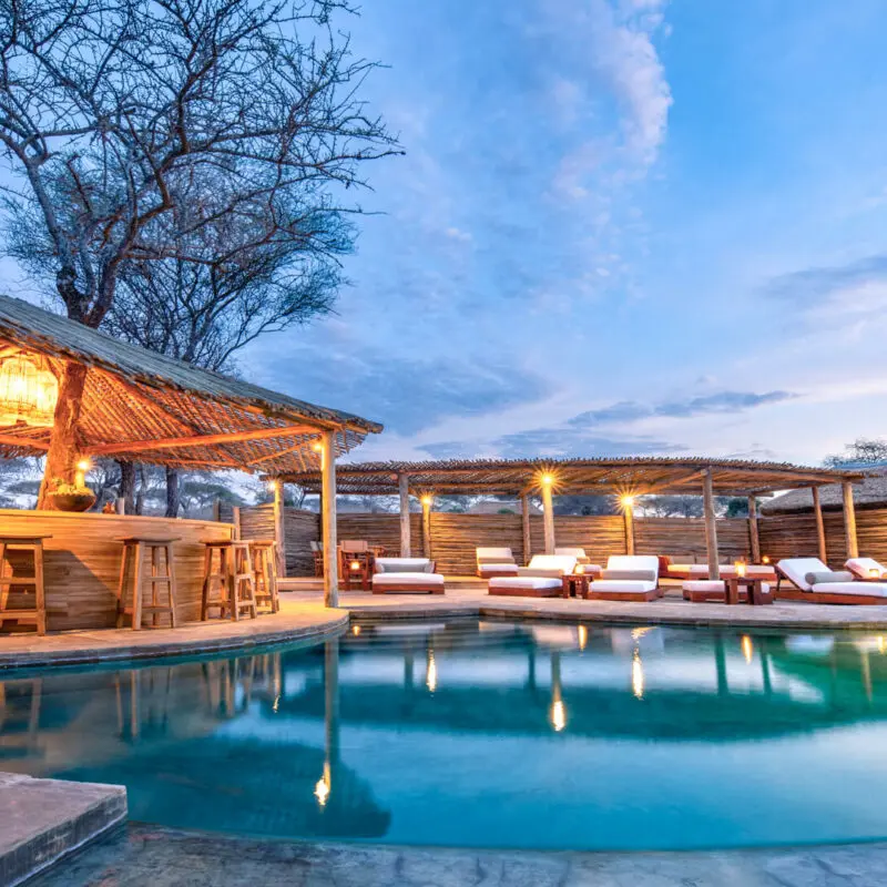 Camp pool and loungers, olivers camp, Tarangire National Park, Tanzania