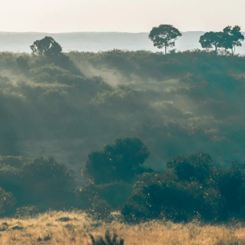 Rekero Camp, Masai mara landscape, golden grass, green trees, Kenya
