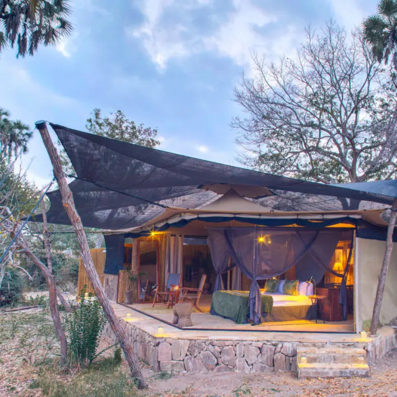 Roho ya Selous Camp, Nyerere National Park, guest room outside, double bed, canvas, in between the trees
