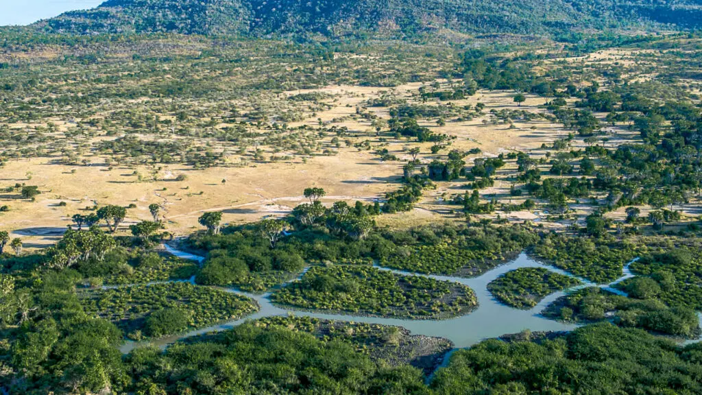 Roho ya Selous Camp, Nyerere National Park, aerial landscape of the park, trees, bushes, dry and wetlands