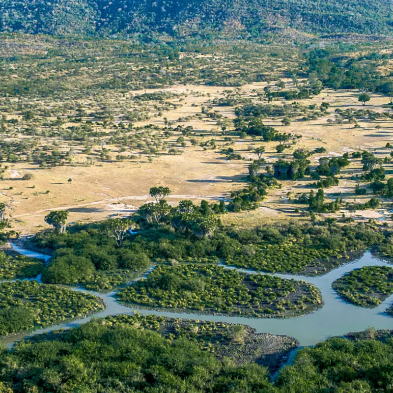 Roho ya Selous Camp, Nyerere National Park, aerial landscape of the park, trees, bushes, dry and wetlands