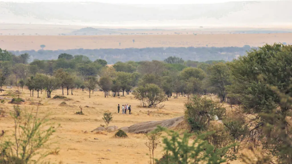 Sayari Retreat, Serengeti National Park, Activity, guests and guide on walking safari through the trees near some rocks, mountains in the background