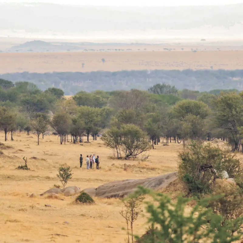 Sayari Retreat, Serengeti National Park, Activity, guests and guide on walking safari through the trees near some rocks, mountains in the background