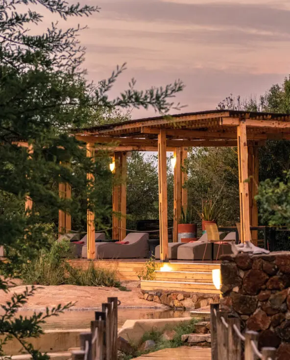 Sayari Camp, Northern Serengeti, Pool deck, walkway, between the trees