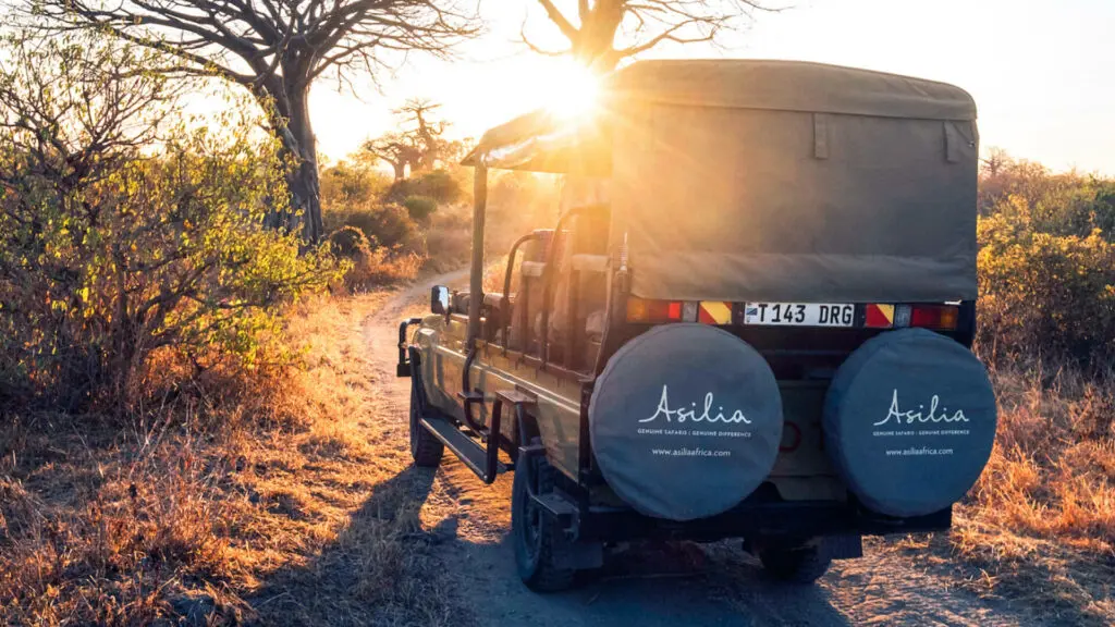 Usangu Expedition Camp, Ruaha National Park, safari vehicle driving through the park, sun setting in the background, trees and bushes