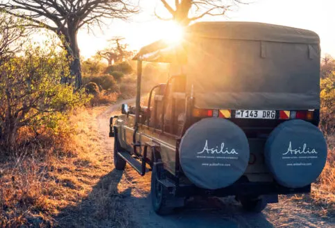 Usangu Expedition Camp, Ruaha National Park, safari vehicle driving through the park, sun setting in the background, trees and bushes
