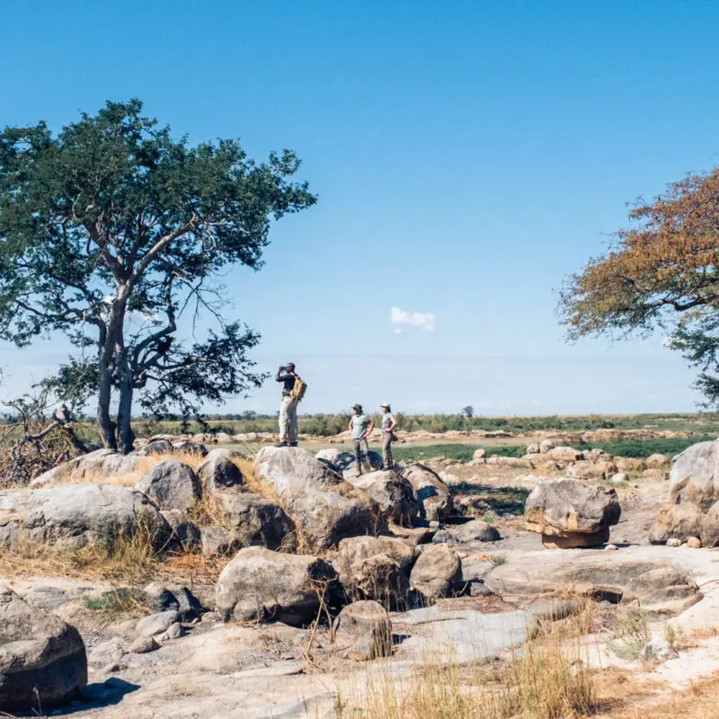 Usangu Expedition Camp, Ruaha National Park, Acticity, guests standing on a rock with their guide looking through binoculars on a walking safari