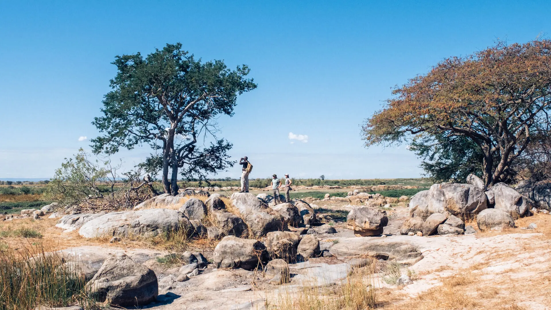 Usangu Expedition Camp, Ruaha National Park, Acticity, guests standing on a rock with their guide looking through binoculars on a walking safari