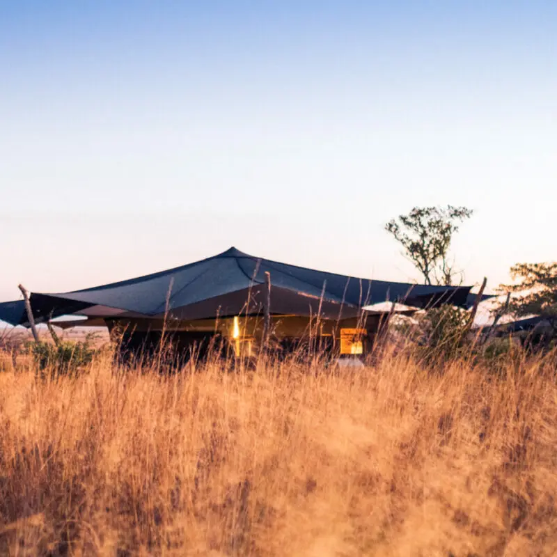 Usangu Expedition Camp, Ruaha National Park, Guest tent exterior through long reeds at sunset