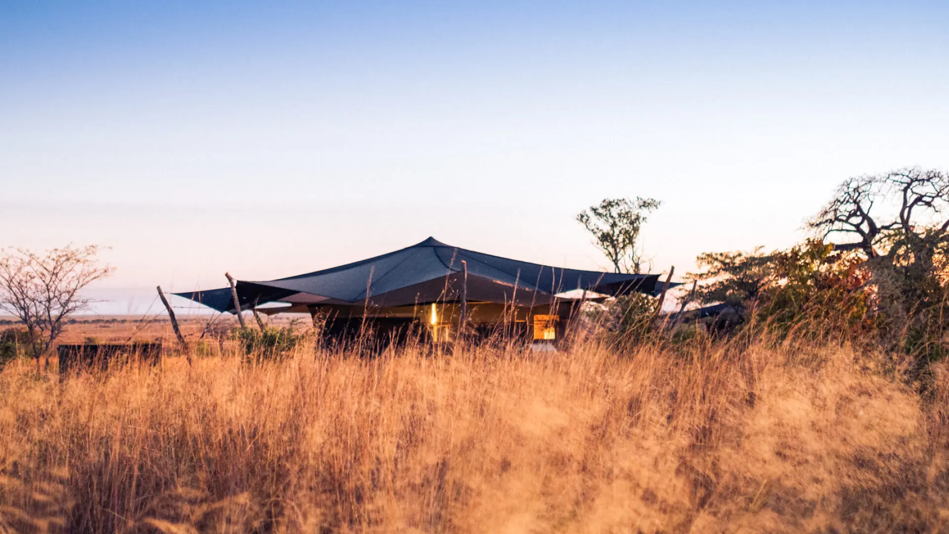 Usangu Expedition Camp, Ruaha National Park, Guest tent exterior through long reeds at sunset