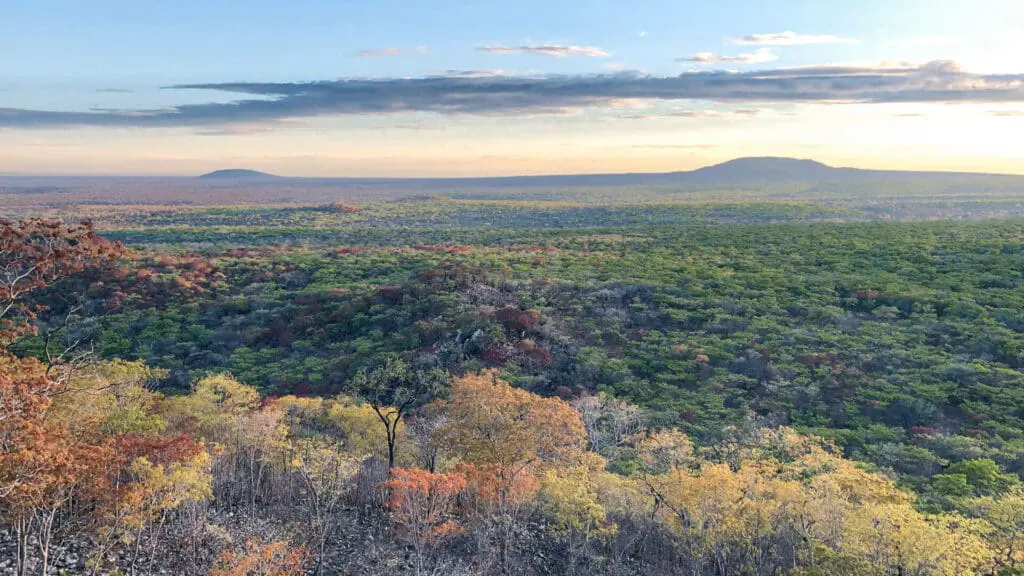 Usangu Expedition Camp, Ruaha National Park, view of the park from above, green, yellow and rusty coloured leaves on the trees with mountain in the background