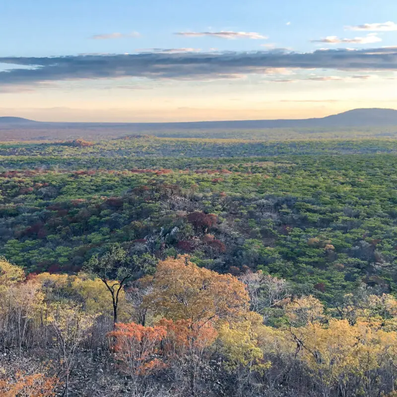 Usangu Expedition Camp, Ruaha National Park, view of the park from above, green, yellow and rusty coloured leaves on the trees with mountain in the background