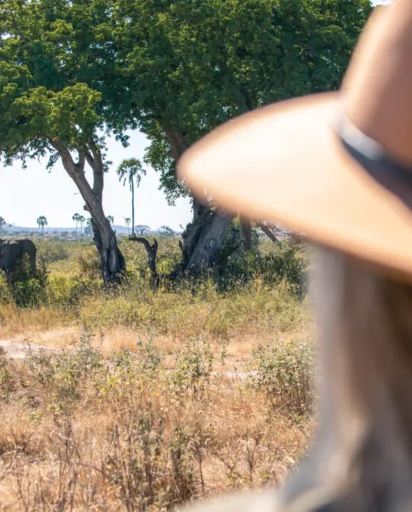 A Kokoko guest on a walking safari, spotting an elephant in the distance