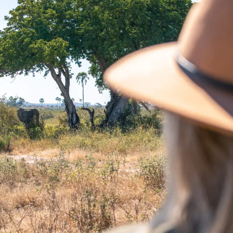 A Kokoko guest on a walking safari, spotting an elephant in the distance