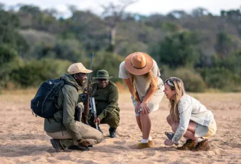 Asilia guests on a walking safari learn fascinating insights from their guides