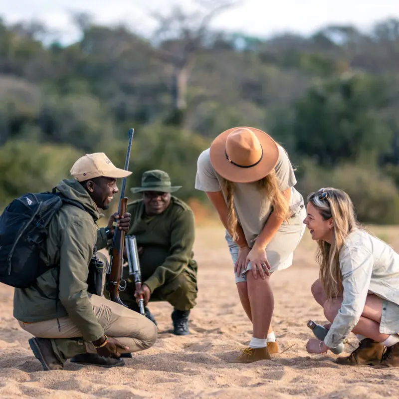 Asilia guests on a walking safari learn fascinating insights from their guides