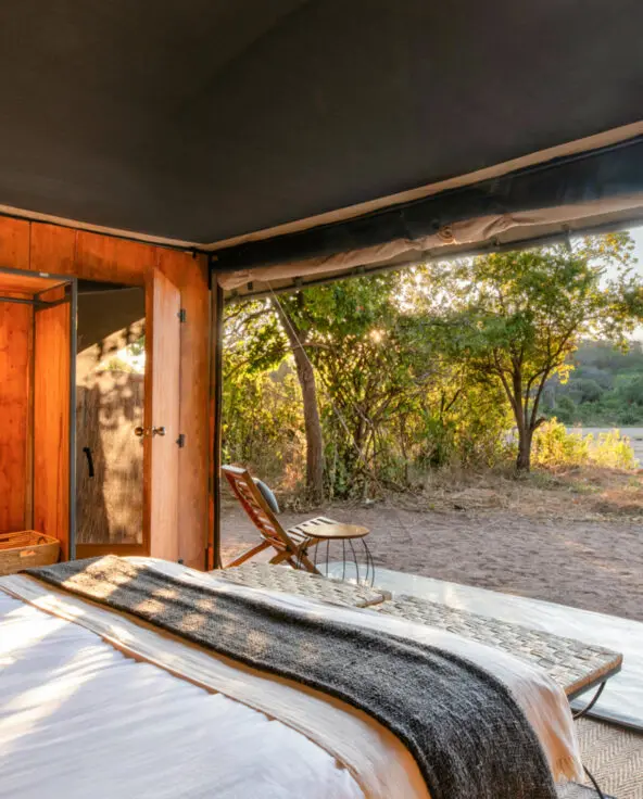 A view of the wilderness from within the Kokoko tents