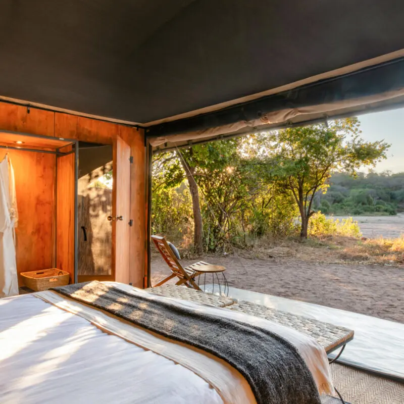 A view of the wilderness from within the Kokoko tents