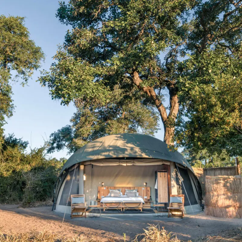 The unique guest tents at Kokoko Camp