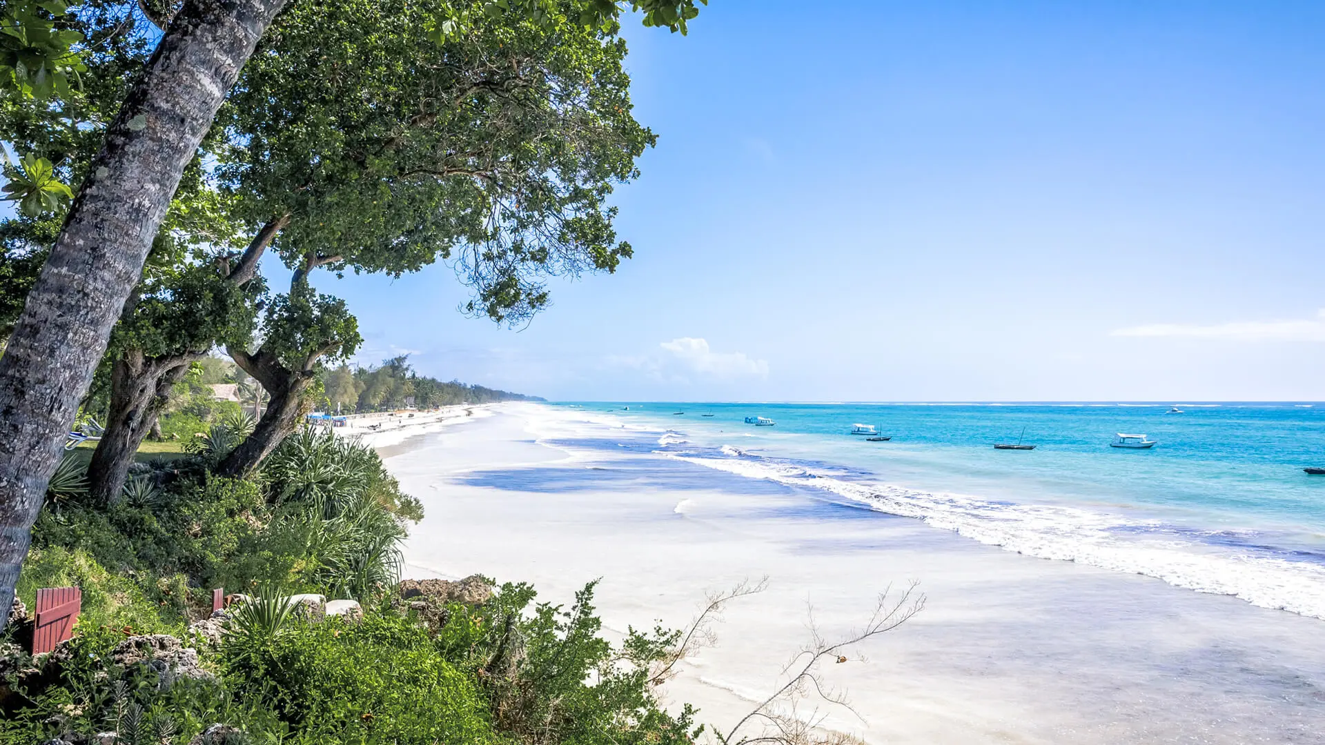 White sand beach in kenya