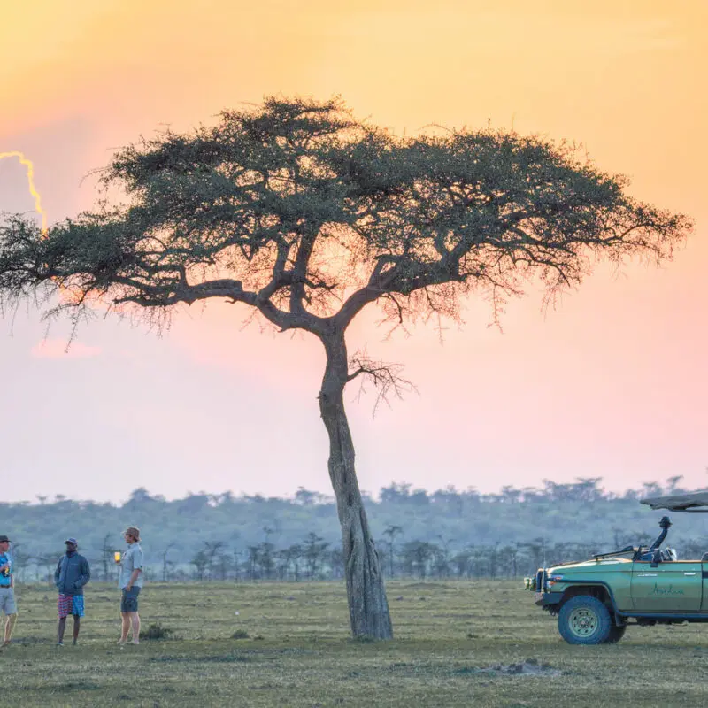 Safari sundowners in the Masai Mara Kenya