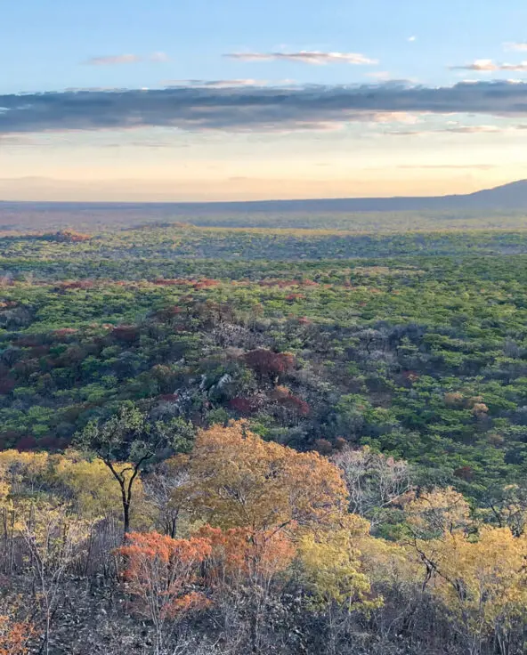 Landscape view of southern tanzania