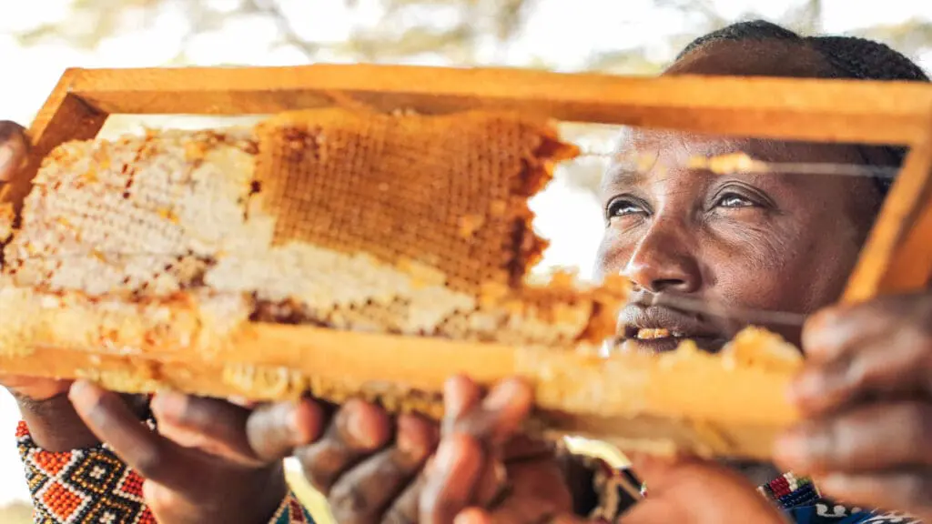 Explore the lives of the local people cultural experiences