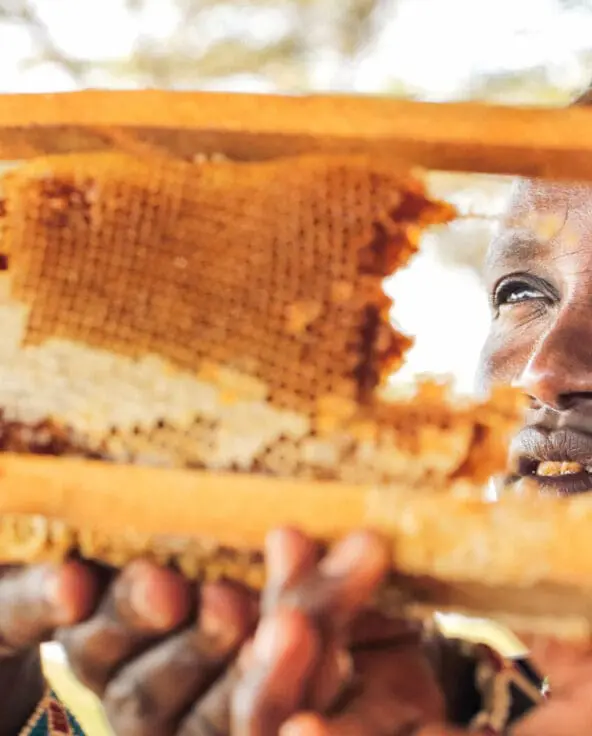 A local woman tends her bee hives