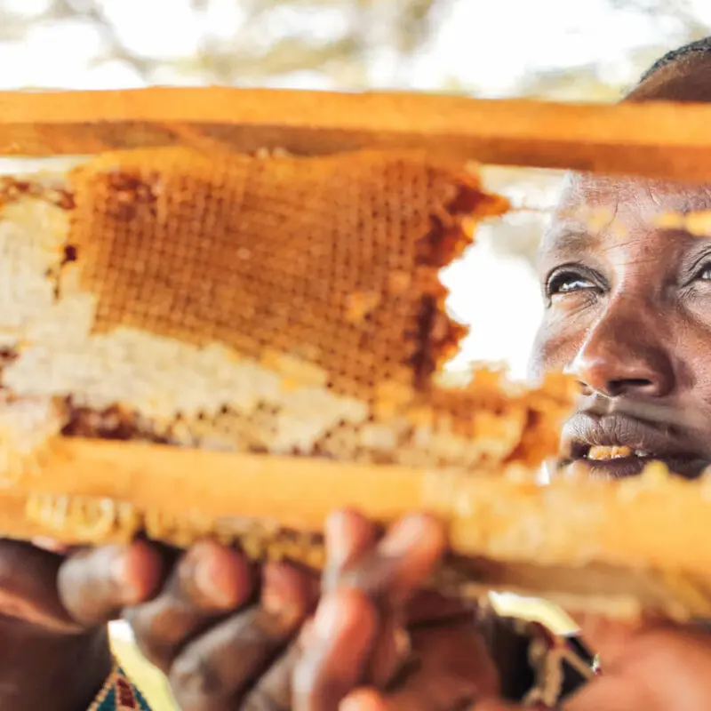 A local woman tends her bee hives