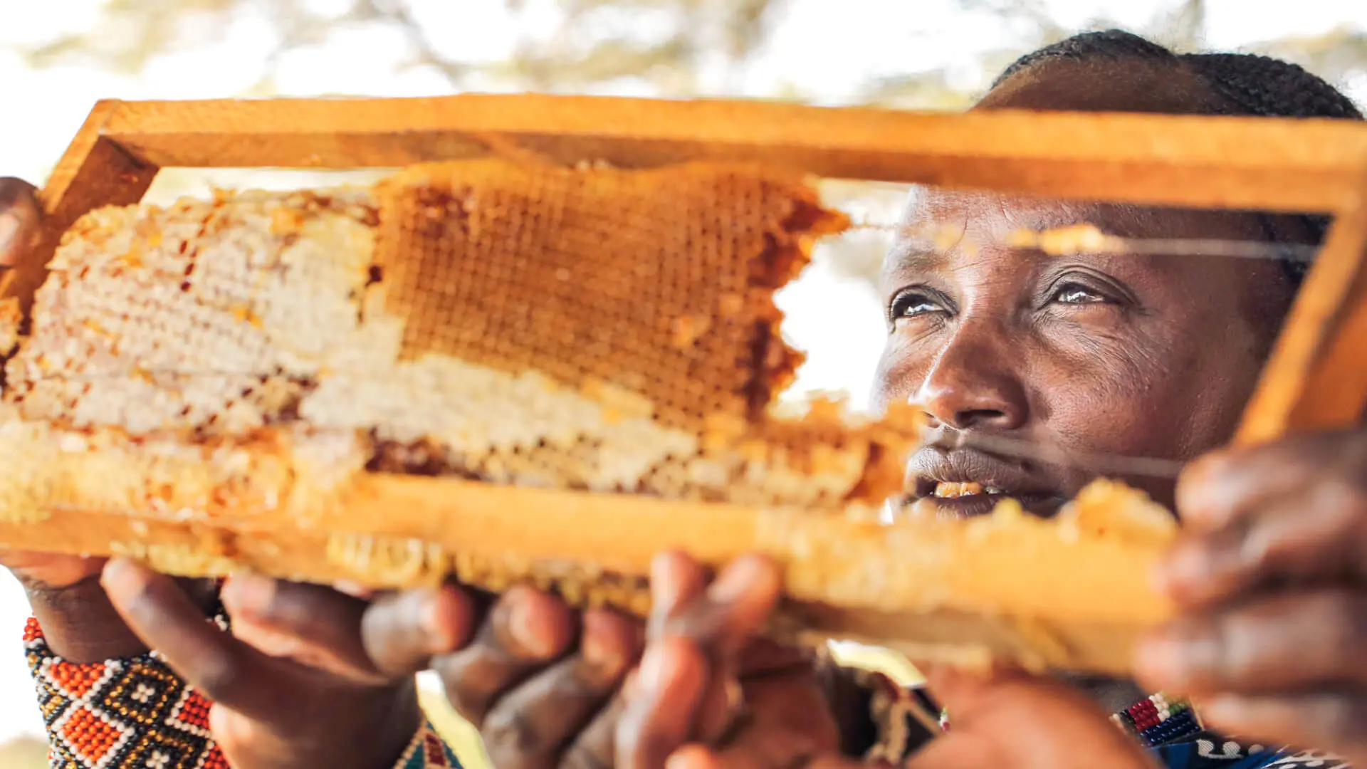 A local woman tends her bee hives